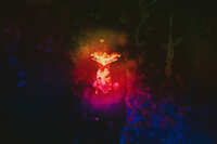 https://images.plurk.com/1UCpOLZamas633HBUYEiIx.jpg