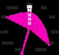 https://images.plurk.com/1UJFOgeeX55LImDRPhMV6M.png