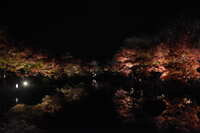 https://images.plurk.com/1ULDTzwtTATt4yuIEk2Ecv.jpg