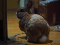 https://images.plurk.com/1UOaiaeJVbZ6MuCHUcnh1B.jpg