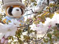 https://images.plurk.com/1UR7L2WWMYAvxCzQglvr2g.jpg
