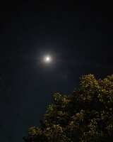 https://images.plurk.com/1UhZGEATe6sJ0yWVn03k8t.jpg