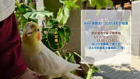 https://images.plurk.com/1UlqRw7ocNpoDfDgpXVZUB.jpg