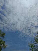 https://images.plurk.com/1Uo7td6nha77i6rjA6wvuO.jpg
