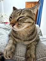 https://images.plurk.com/1UpPKceR4ftBEdFwPrt7ug.jpg