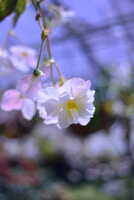 https://images.plurk.com/1UvdnicZO2MNh5CCs5wanz.jpg