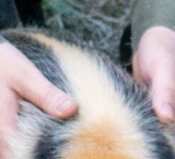 https://images.plurk.com/1Ux7Jixr21MTuPvSRcIRWF.png