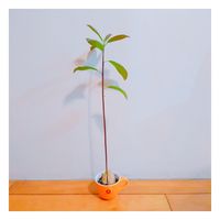 https://images.plurk.com/1V2TVITzvezED20H7c6MLw.jpg