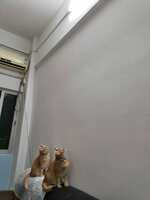 https://images.plurk.com/1V39xUzXP1QrrKk215SYJq.jpg