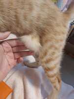 https://images.plurk.com/1V7u6re2WnTroiNgld4wQj.jpg