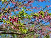 https://images.plurk.com/1V80Gff9GQvMFFI9QEP09J.jpg