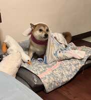 https://images.plurk.com/1VCrhg7YrGmUCZbqPWdrOR.jpg