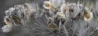 https://images.plurk.com/1VE6arwCx1rfrJ3fzmZEjB.jpg