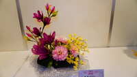 https://images.plurk.com/1VFoSqGu93n3i2YUcGfMDE.jpg