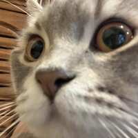 https://images.plurk.com/1VSmJv1JIksXauTCAj6imq.jpg