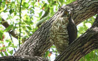 https://images.plurk.com/1VUDJYEI8JCLVEsxiccFps.jpg