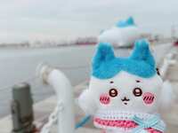https://images.plurk.com/1Va1FwWSKWAyb37dX2MnTl.jpg
