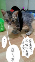 https://images.plurk.com/1VbHKud7qx3FvJKdBINvsv.jpg