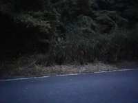 https://images.plurk.com/1Vbch7Uu6HSWksiL1pVrk8.jpg
