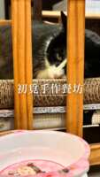 https://images.plurk.com/1Ve7r5tji7KlmtzD44N4r9.png
