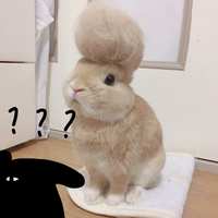 https://images.plurk.com/1VssvPlNV3U8oywtFUz3u8.jpg