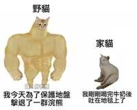 https://images.plurk.com/1VtUaqJq4lZe8cQ4Reo9f3.jpg