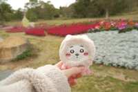 https://images.plurk.com/1VwcGUbPmdFcufT7fnPmSi.jpg