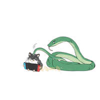 https://images.plurk.com/1WARTmVbHJ6wqXPIvaNPER.jpg