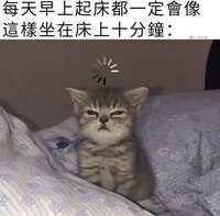 https://images.plurk.com/1WRDh0Xsqfl6a4sXOp59A1.jpg