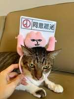 https://images.plurk.com/1WaSBwMUNTY4CMDdiAZByS.jpg