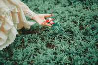 https://images.plurk.com/1WjUKR4W5I02yv0DWEZQRV.jpg