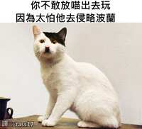 https://images.plurk.com/1WoGld6nqaglJlvX8B9faU.jpg