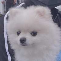 https://images.plurk.com/1WwmgG4XXf5CWhuCb3QyBu.jpg