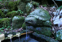 https://images.plurk.com/1WyAJW5686fFKCBGAufoyI.jpg