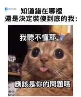 https://images.plurk.com/1WzxEqBv4xUIE3Lrq3LrMO.jpg