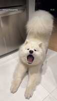 https://images.plurk.com/1X39lg9y3iKuuv9cMBo9AV.jpg