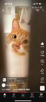 https://images.plurk.com/1X4Q3khuJgjf3djGkk8yO1.png