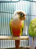 https://images.plurk.com/1X4bOzOTlkrShQlP33VDdQ.jpg