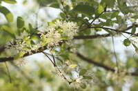 https://images.plurk.com/1XLuyWnoakgIcZDrthUd4T.jpg