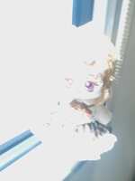 https://images.plurk.com/1XRrjAQ8cY5QEbyR80XKI.jpg