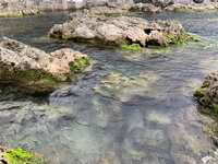 https://images.plurk.com/1XYuZPhiRJb09YgxKzqEYm.jpg