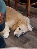 https://images.plurk.com/1XaIeWLVpjuhFX96Yhn2zK.jpg