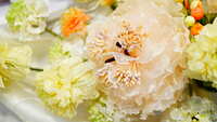 https://images.plurk.com/1XmVEOE8Sh9fA2c81tNyhY.jpg