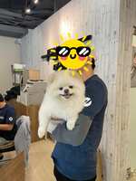 https://images.plurk.com/1XoCQqpaFlySzS4GTlsU4R.jpg
