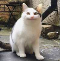 https://images.plurk.com/1YAYKQD34XcOe5fDqTZdZw.png
