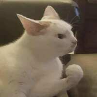 https://images.plurk.com/1YRRCWX8SdrE0E4wabD7BJ.png