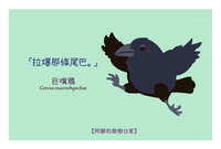 https://images.plurk.com/1YdjGz5LqvBMcFHgeuNDCf.jpg