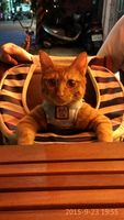 https://images.plurk.com/1Yj6y2PO2g37rj4zPZqeb1.jpg