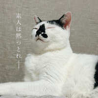 https://images.plurk.com/1Ys47zOFRdND3wM6q4e0WM.jpg