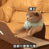 https://images.plurk.com/1Yw7kg6QwHcf48nkx1AFnB.gif